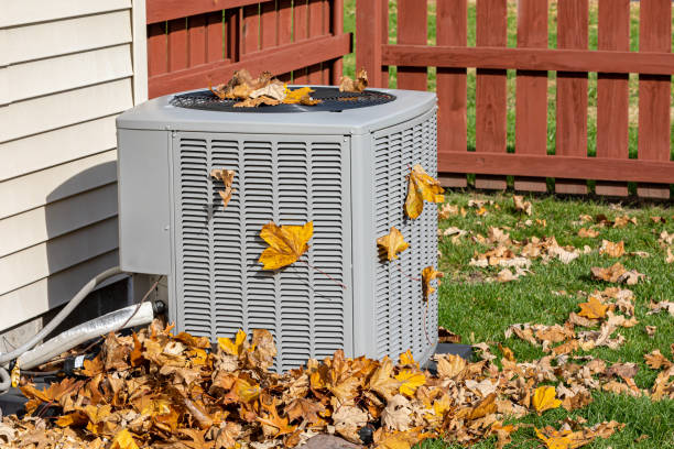 Best HVAC Air Duct Cleaning  in Interlachen, FL